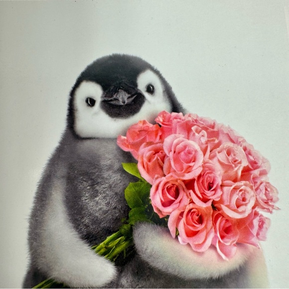 8 Avanti Greeting cards- baby penguin with pink roses
Holiday: Valentines Day - Picture 4 of 8